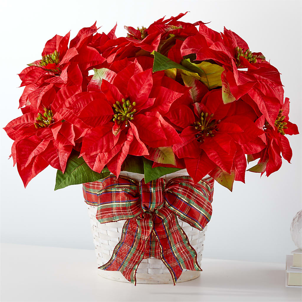 Happiest Holidays Poinsettia – Talia Flowers, Ottawa ON
