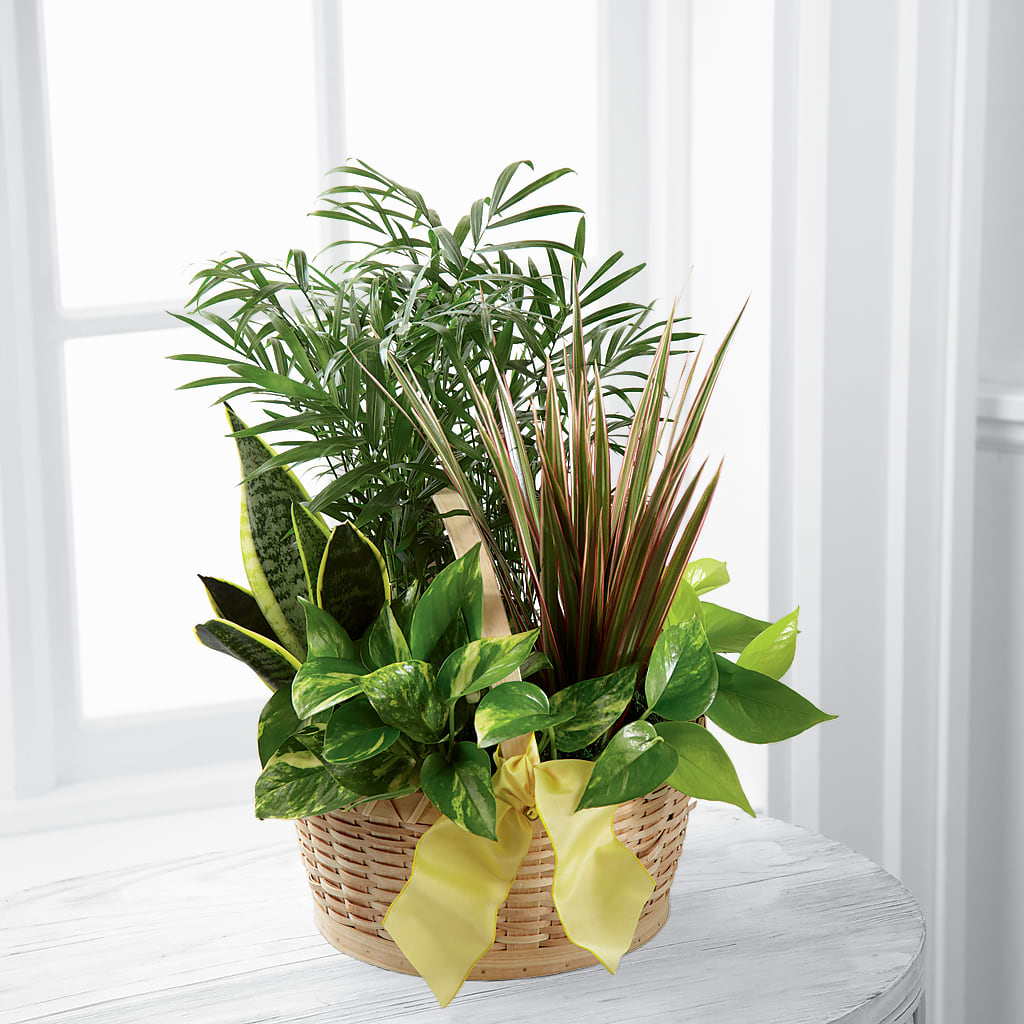 French Garden – Talia Flowers, Ottawa ON