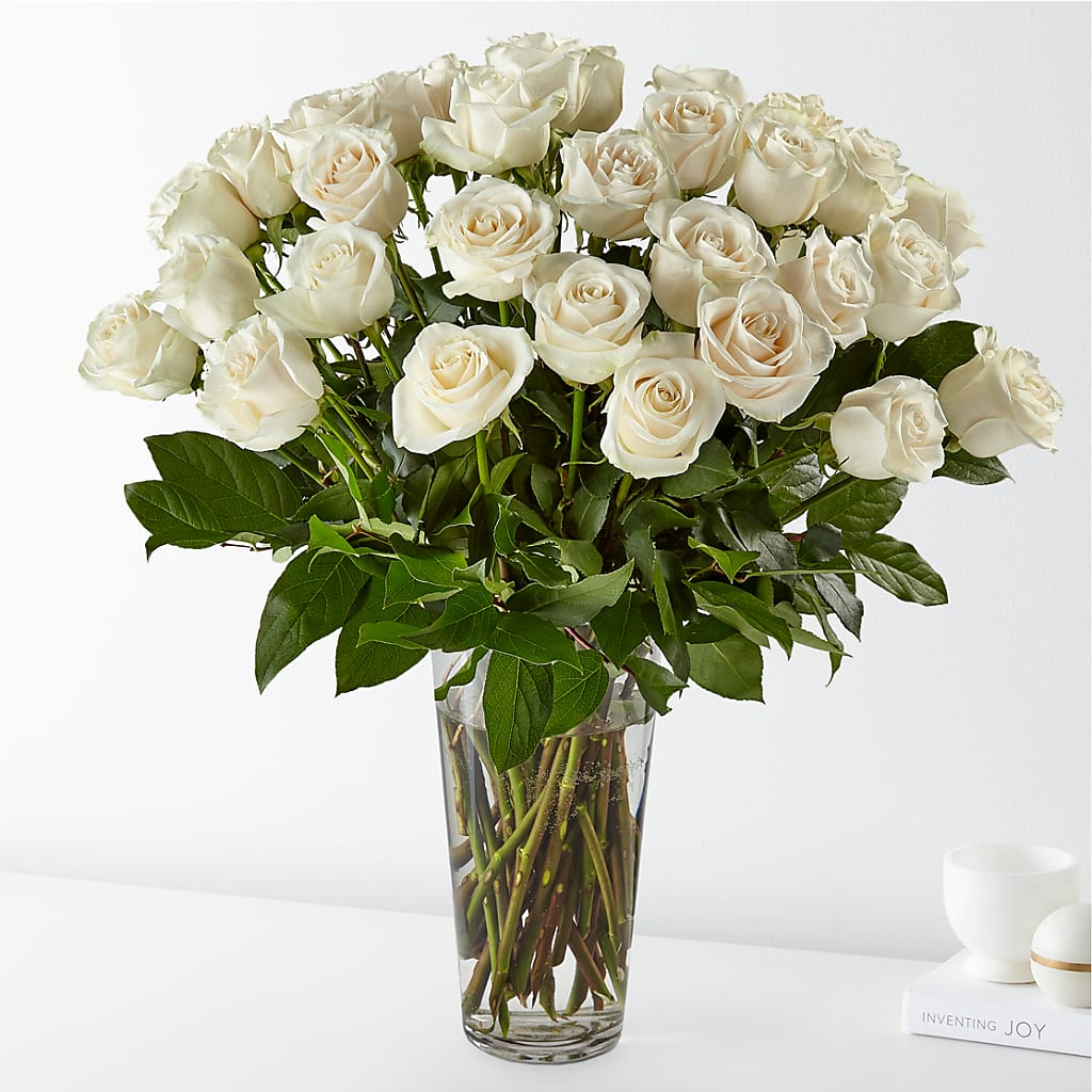 Long Stem White Rose Bouquet – Talia Flowers, Ottawa ON