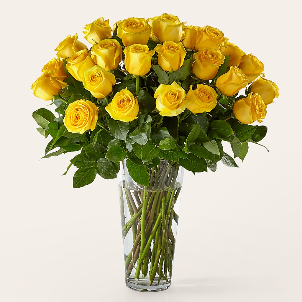 Long Stem Yellow Rose Bouquet – Talia Flowers, Ottawa ON