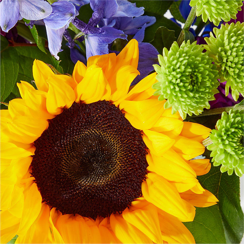 Catching Rays Bouquet – Talia Flowers, Ottawa ON