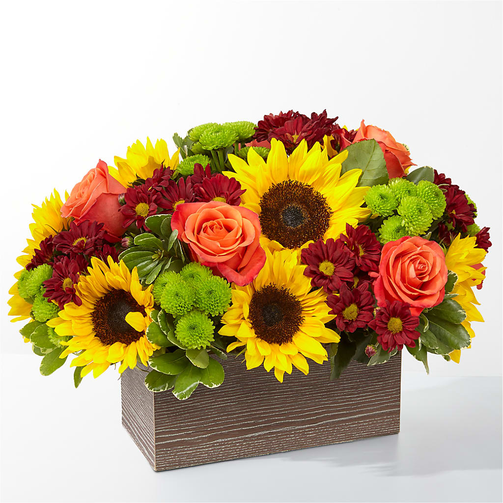 Happy Harvest Garden – Talia Flowers, Ottawa ON