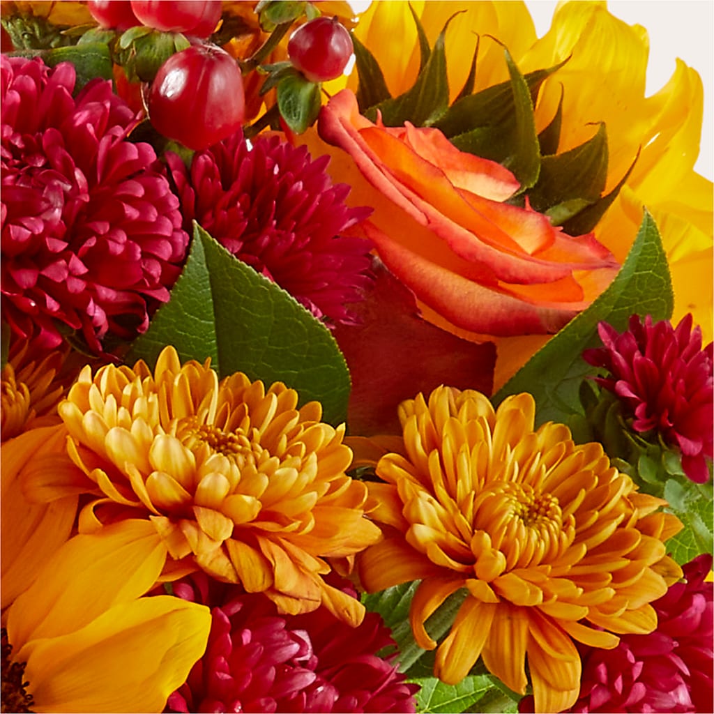 Sweater Season - A Florist Original – Talia Flowers, Ottawa ON