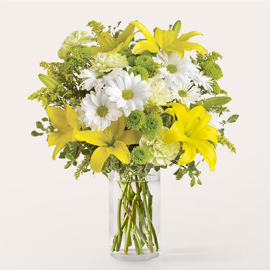 Ramo de nuevo comienzo