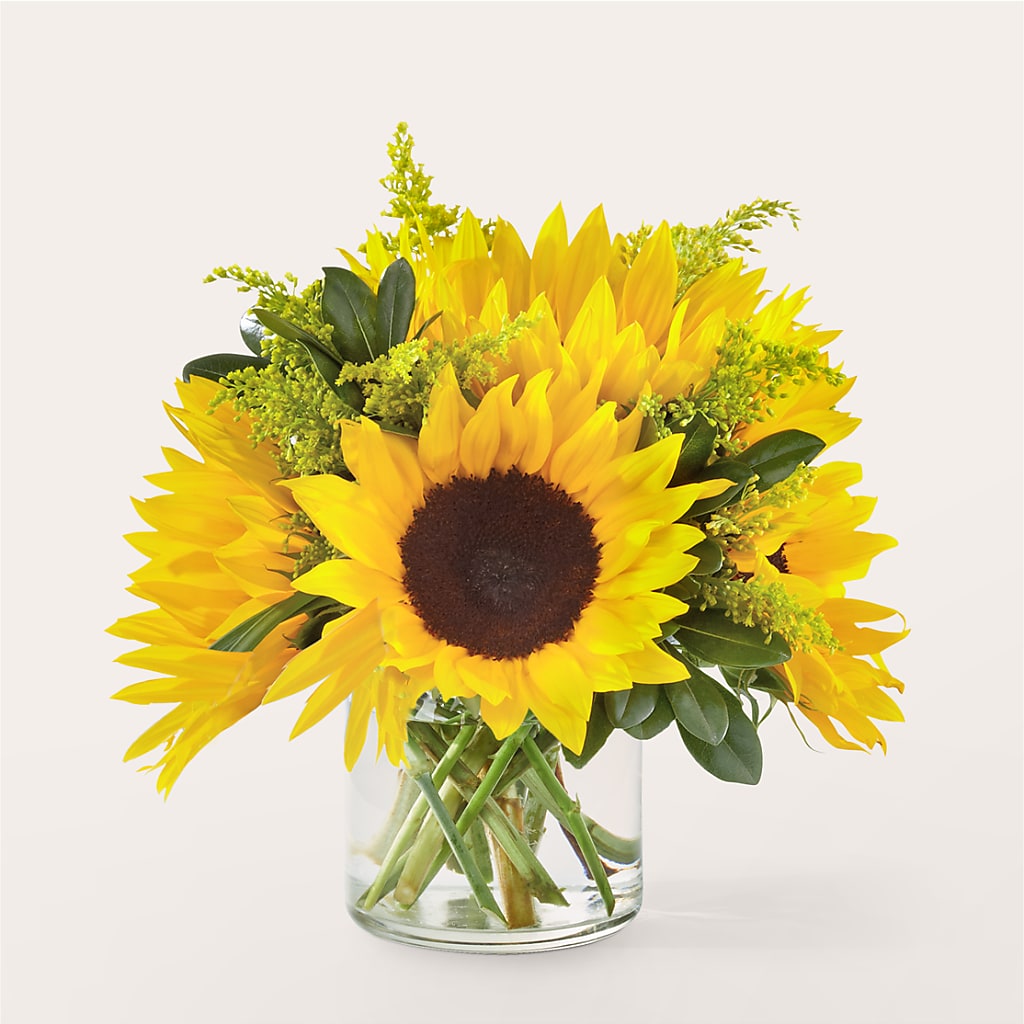 Beaming Sunflower Bouquet – Talia Flowers, Ottawa ON