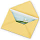 Greeting Card – Talia Flowers, Ottawa ON