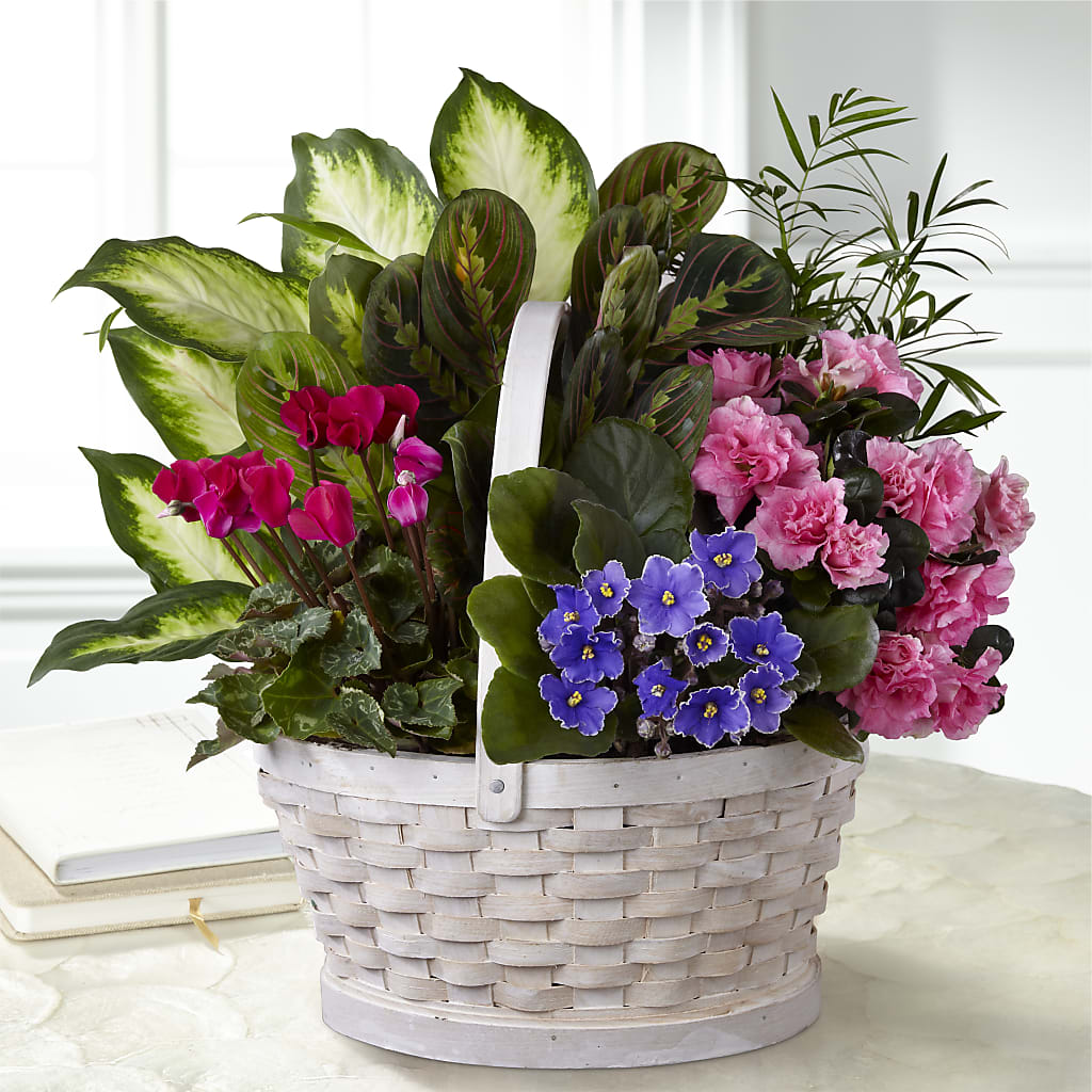 Peaceful Garden Planter – Talia Flowers, Ottawa ON
