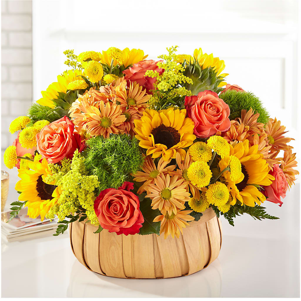 Harvest Sunflower Basket – Talia Flowers, Ottawa ON