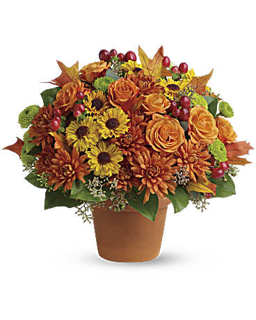Sugar Maples – Talia Flowers, Ottawa ON