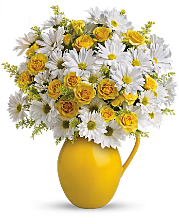 Teleflora's Sunny Day Pitcher of Daisies – Talia Flowers, Ottawa ON