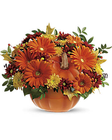 Teleflora's Country Pumpkin – Talia Flowers, Ottawa ON