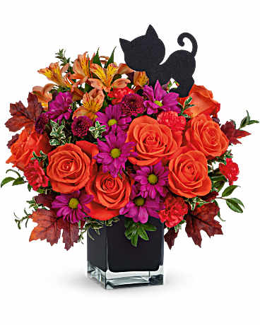 Teleflora's Midnight Magic Bouquet – Talia Flowers, Ottawa ON