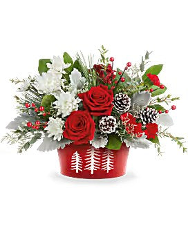 Teleflora's Snowy Pines Centerpiece – Talia Flowers, Ottawa ON