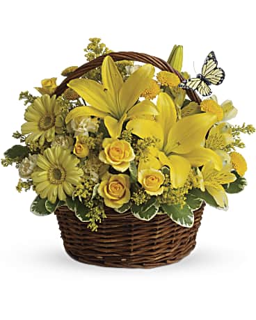 Basket Full of Wishes – Talia Flowers, Ottawa ON