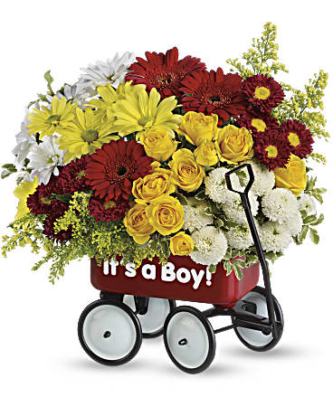 Baby's Wow Wagon by Teleflora - Boy – Talia Flowers, Ottawa ON