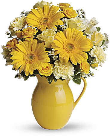 Teleflora's Sunny Day Pitcher of Cheer – Talia Flowers, Ottawa ON