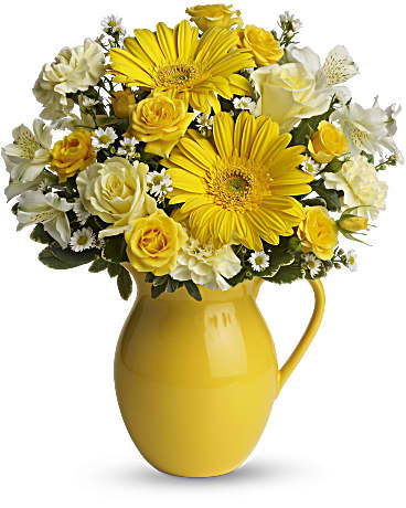 Teleflora's Sunny Day Pitcher of Cheer – Talia Flowers, Ottawa ON