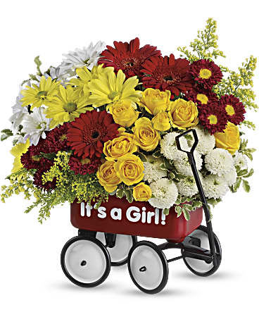 Baby's Wow Wagon by Teleflora - Girl – Talia Flowers, Ottawa ON