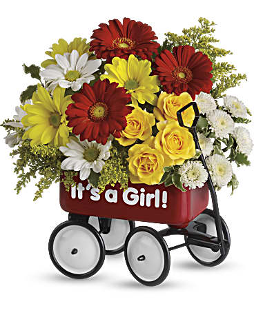 Baby's Wow Wagon by Teleflora - Girl – Talia Flowers, Ottawa ON