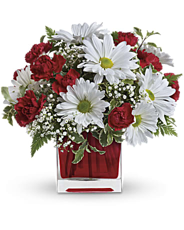 Red And White Delight by Teleflora – Talia Flowers, Ottawa ON