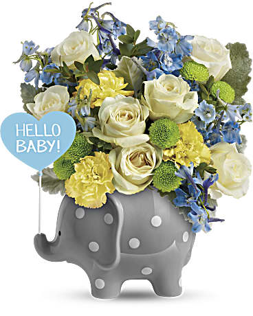 Teleflora's Hello Sweet Baby - Blue – Talia Flowers, Ottawa ON