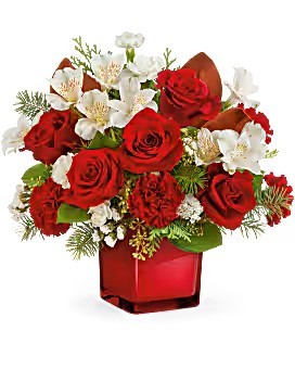 Teleflora's Scarlet Splendor Bouquet – Talia Flowers, Ottawa ON