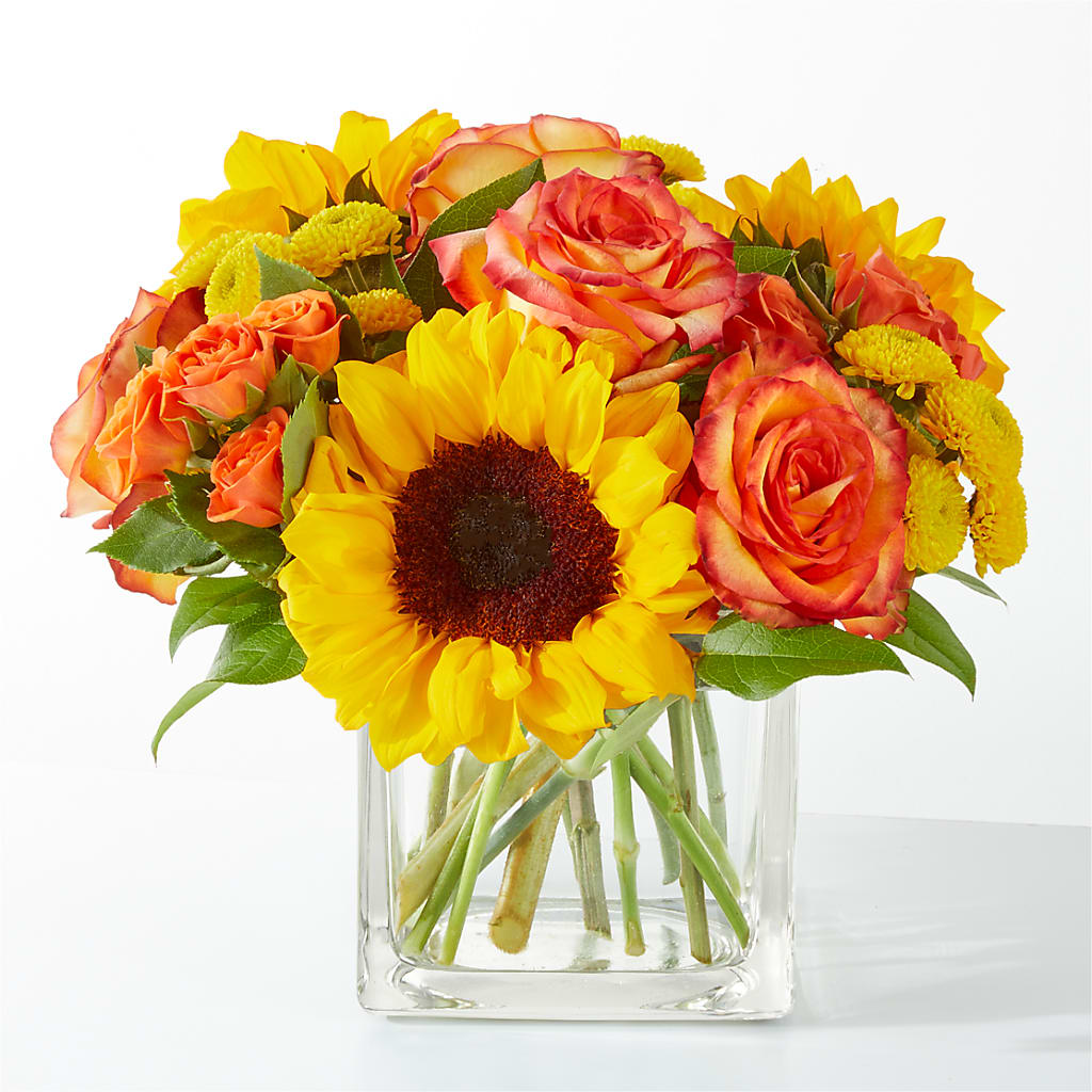 Picnic in the Park Bouquet – Talia Flowers, Ottawa ON