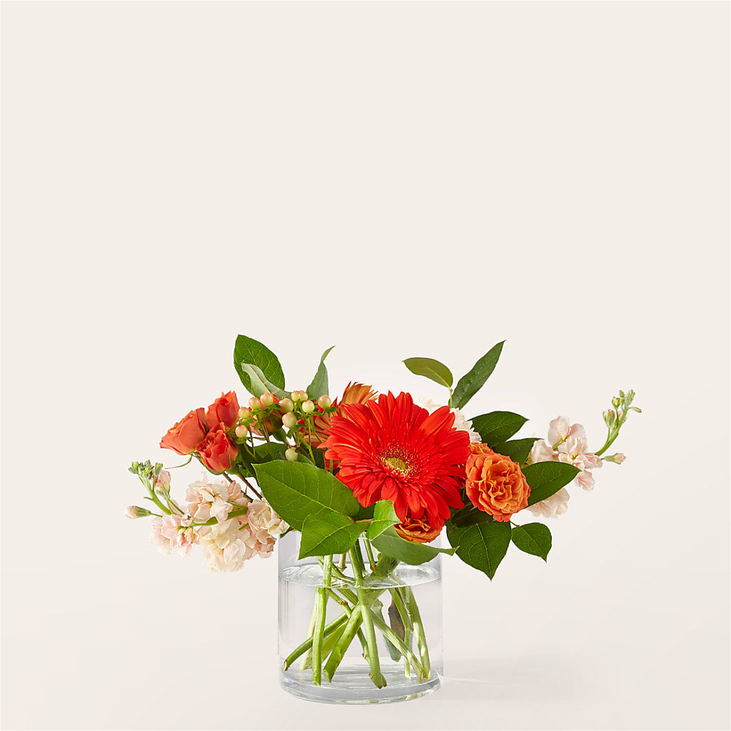 Paloma Please Bouquet – Talia Flowers, Ottawa ON