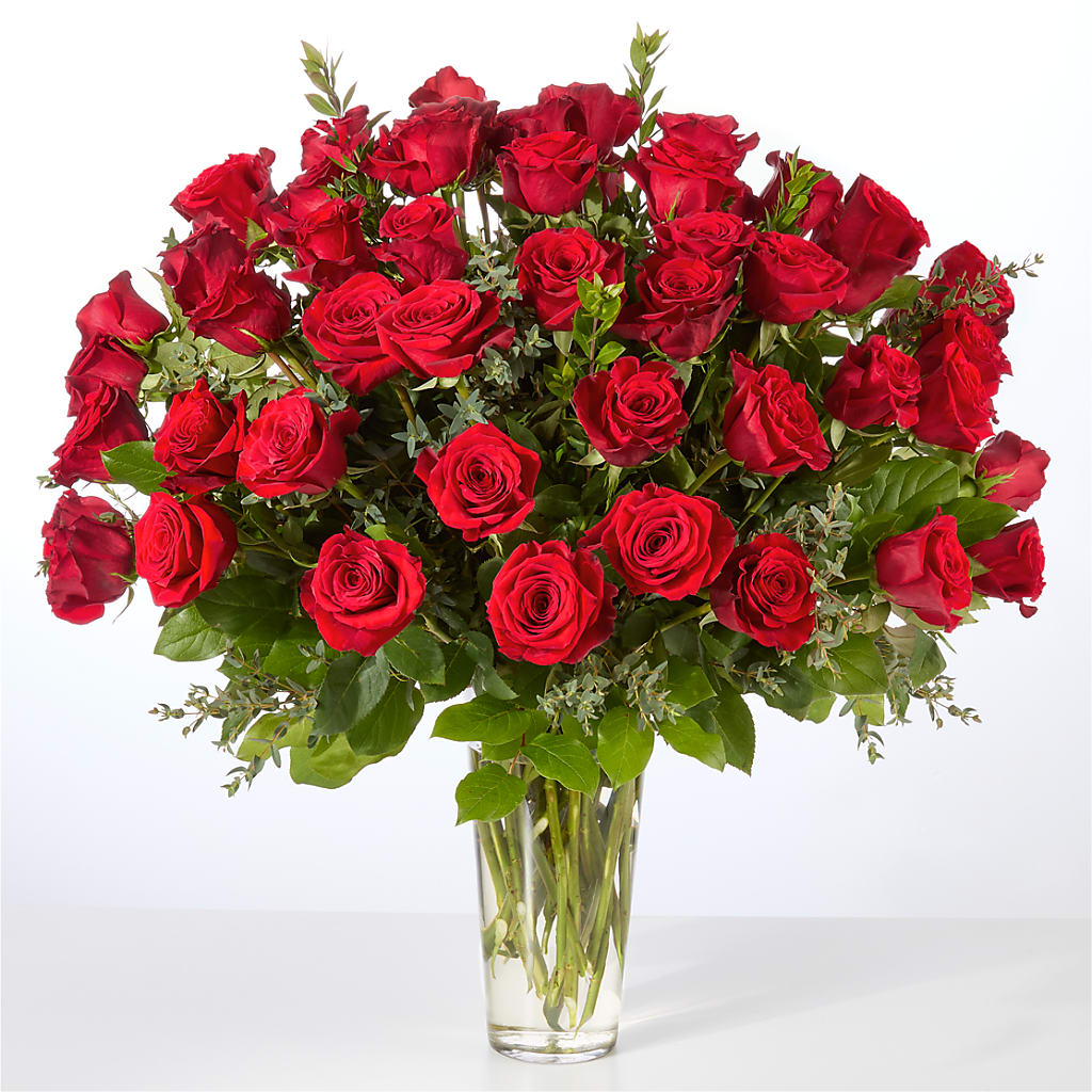 Forever Yours Fifty Stem Red Rose Bouquet – Talia Flowers, Ottawa ON