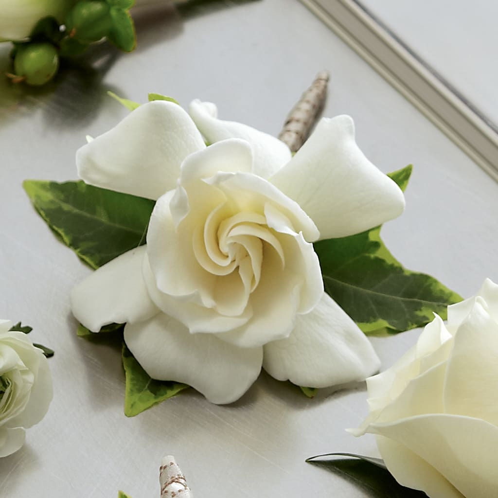 Gardenia Boutonniere – Talia Flowers, Ottawa ON