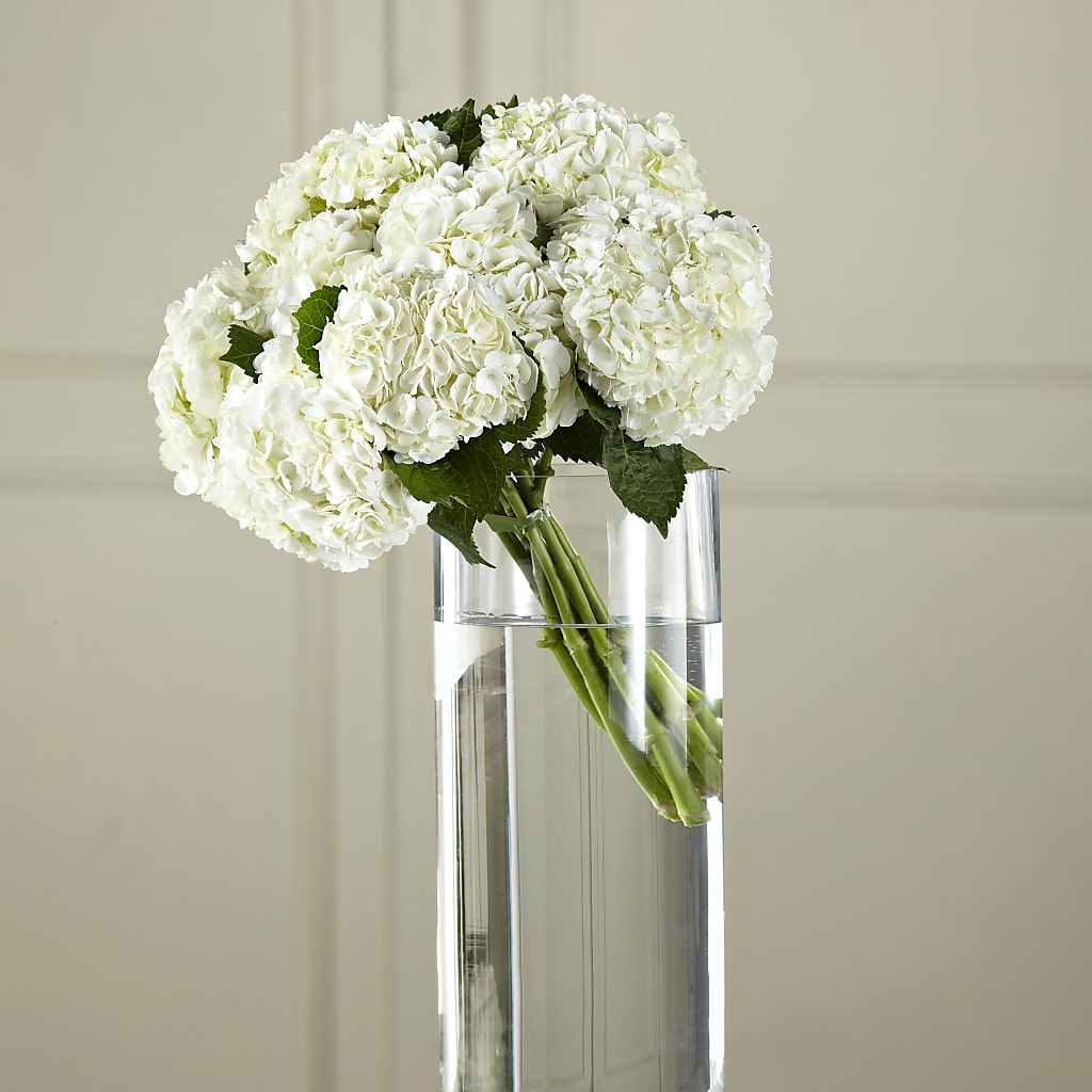 White Hydrangea Hand-Tied Bouquet – Talia Flowers, Ottawa ON