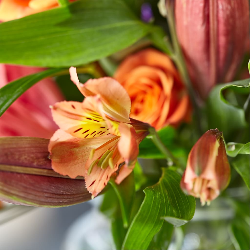 Bold & Bright – A Florist Original –  Talia Flowers, Ottawa ON