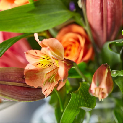 Bold & Bright – A Florist Original –  Talia Flowers, Ottawa ON