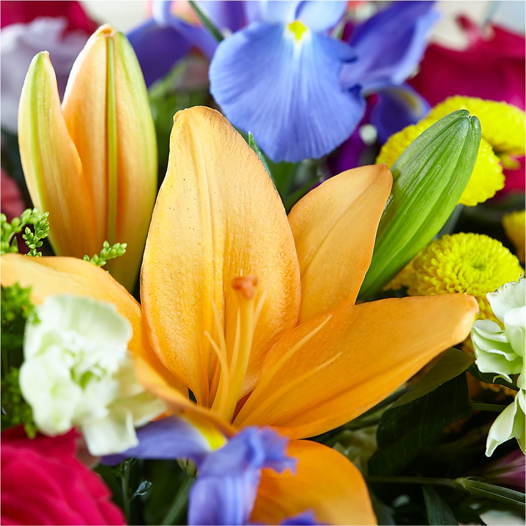 Bold & Bright – A Florist Original –  Talia Flowers, Ottawa ON