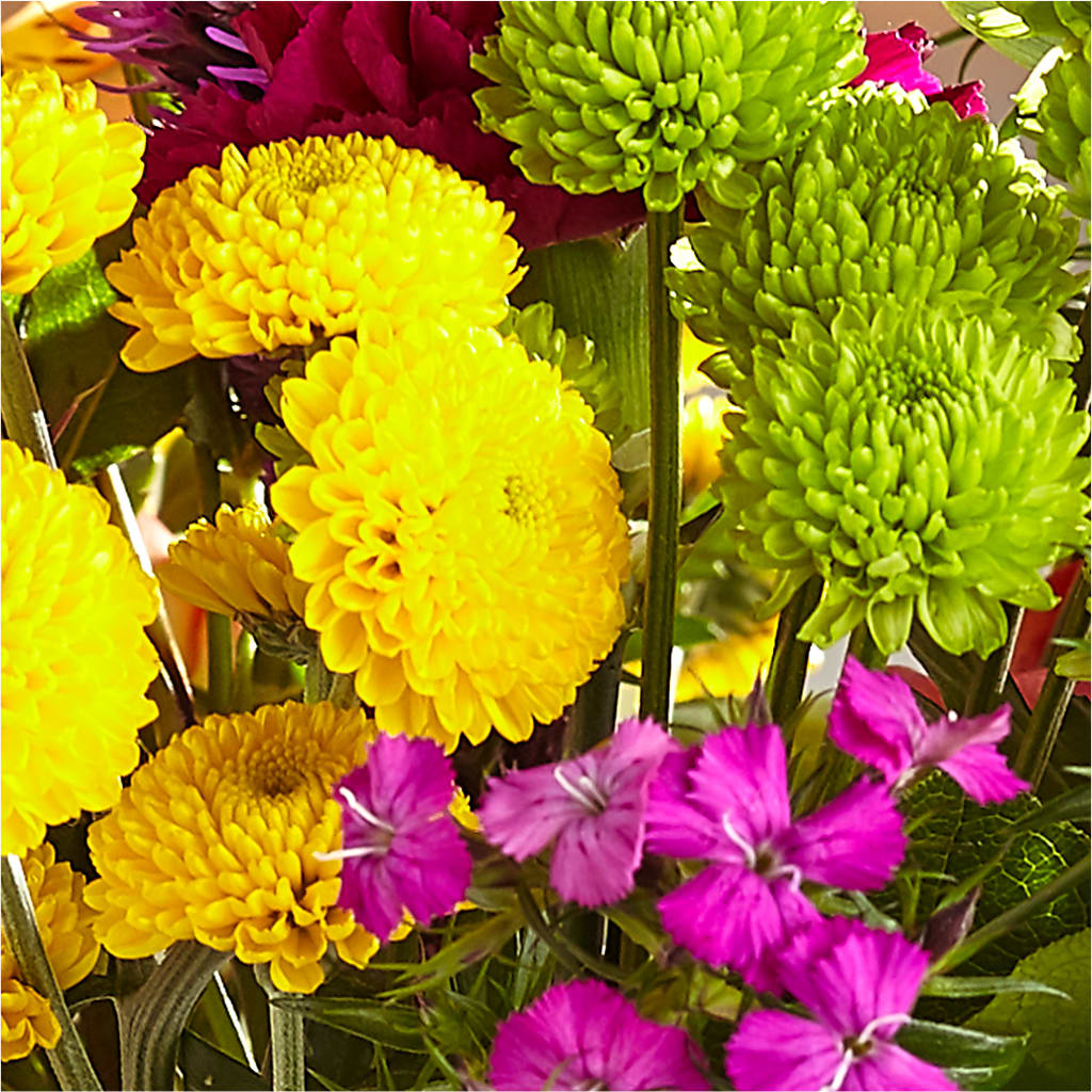 Bold & Bright – A Florist Original –  Talia Flowers, Ottawa ON