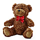 Adorable Plush Bear –  Talia Flowers, Ottawa ON