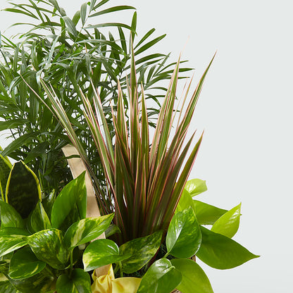 French Garden –  Talia Flowers, Ottawa ON