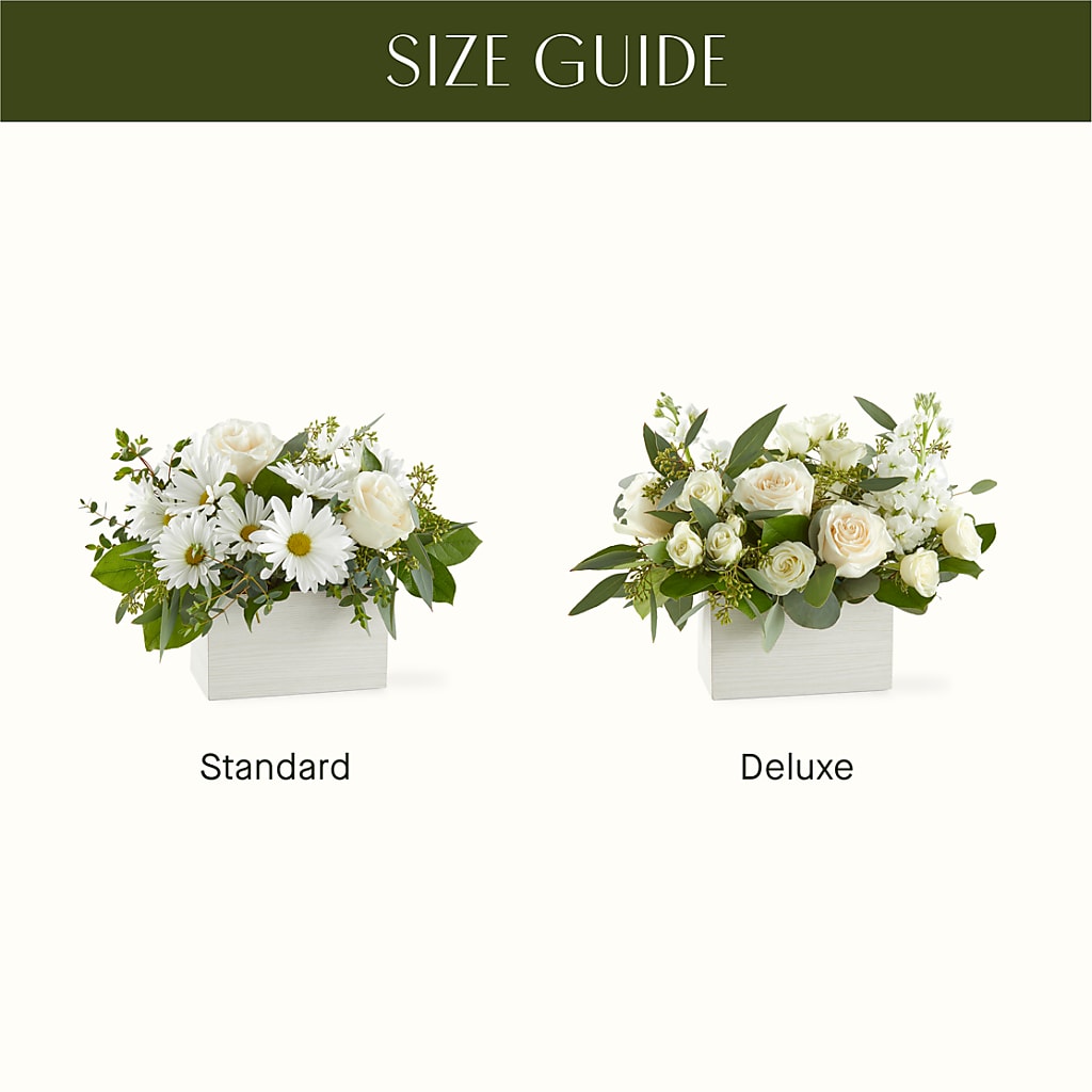 Fresh Linen Box Bouquet –  Talia Flowers, Ottawa ON
