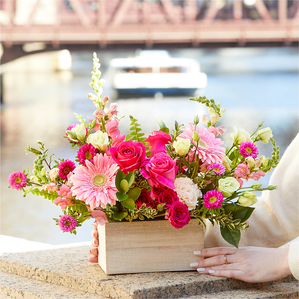Too Cute Bouquet –  Talia Flowers, Ottawa ON