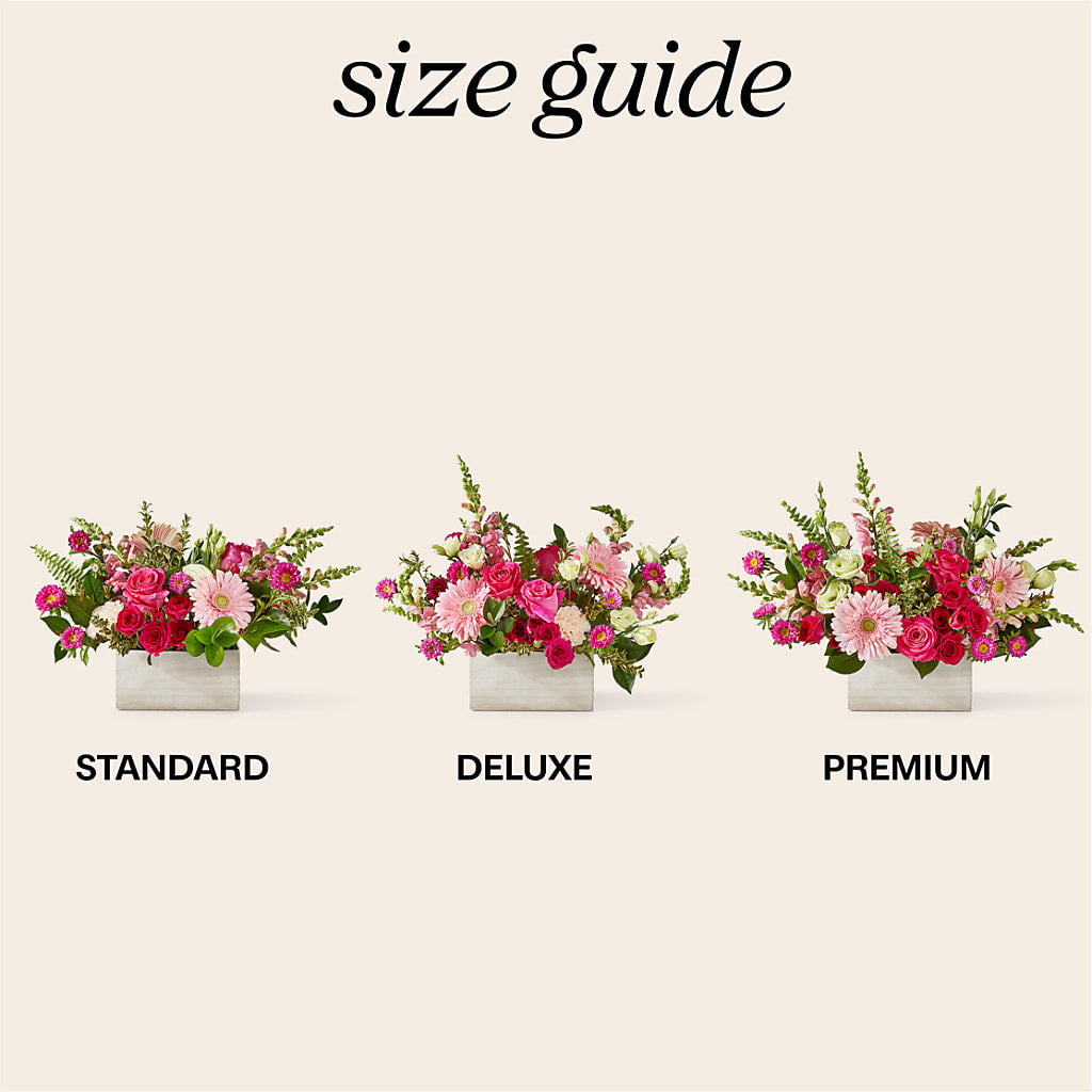 Too Cute Bouquet –  Talia Flowers, Ottawa ON