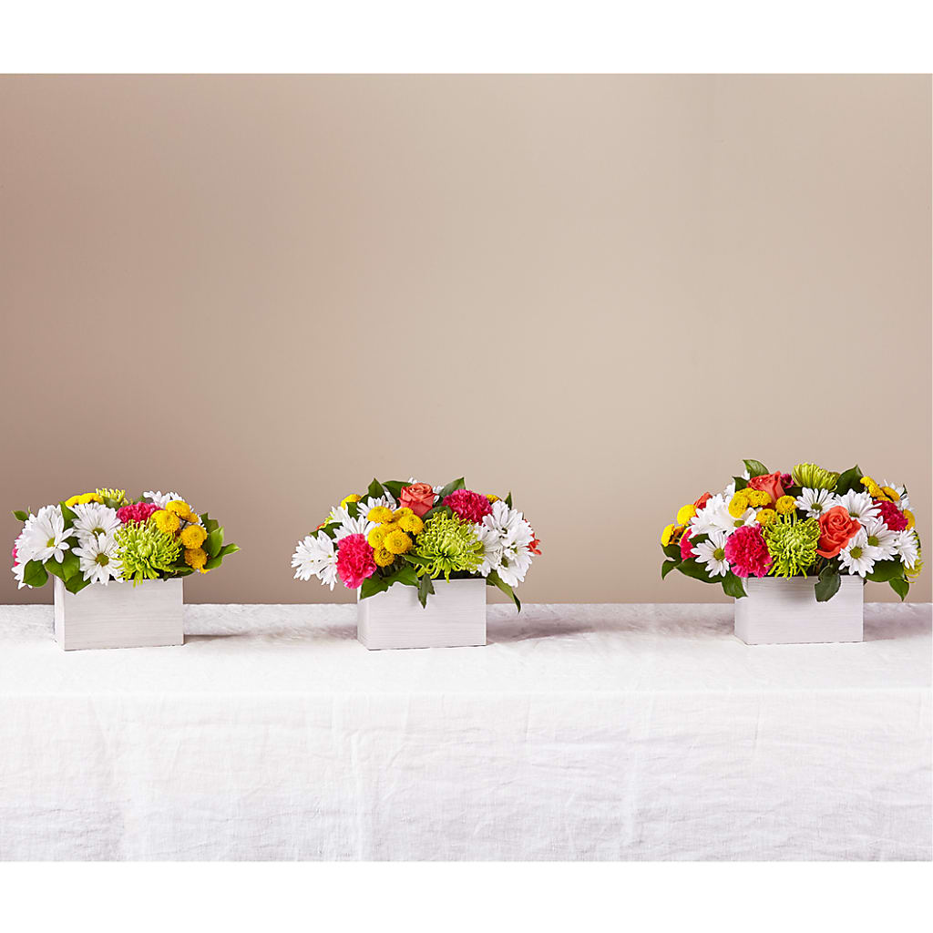 Sorbet Bouquet –  Talia Flowers, Ottawa ON