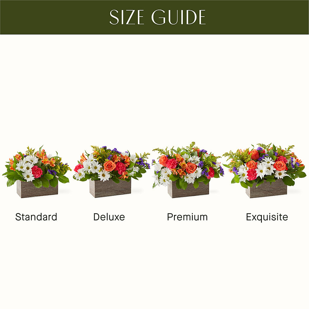 Oopsie Daisy Box Bouquet –  Talia Flowers, Ottawa ON