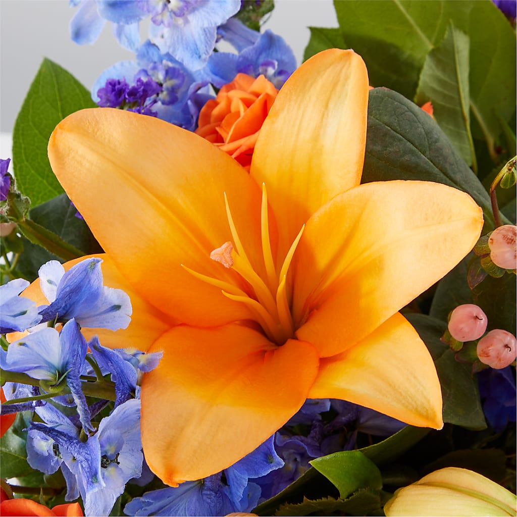 Radiant Citrus Box Bouquet –  Talia Flowers, Ottawa ON