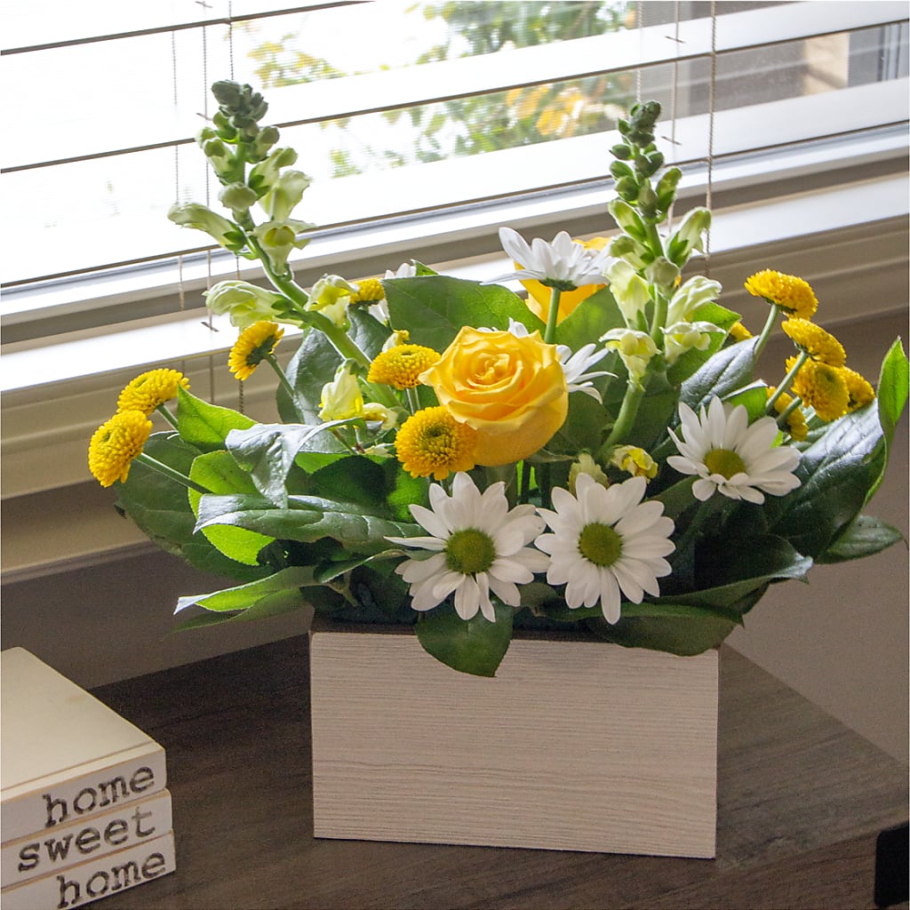 Sun Salutation Box Bouquet –  Talia Flowers, Ottawa ON
