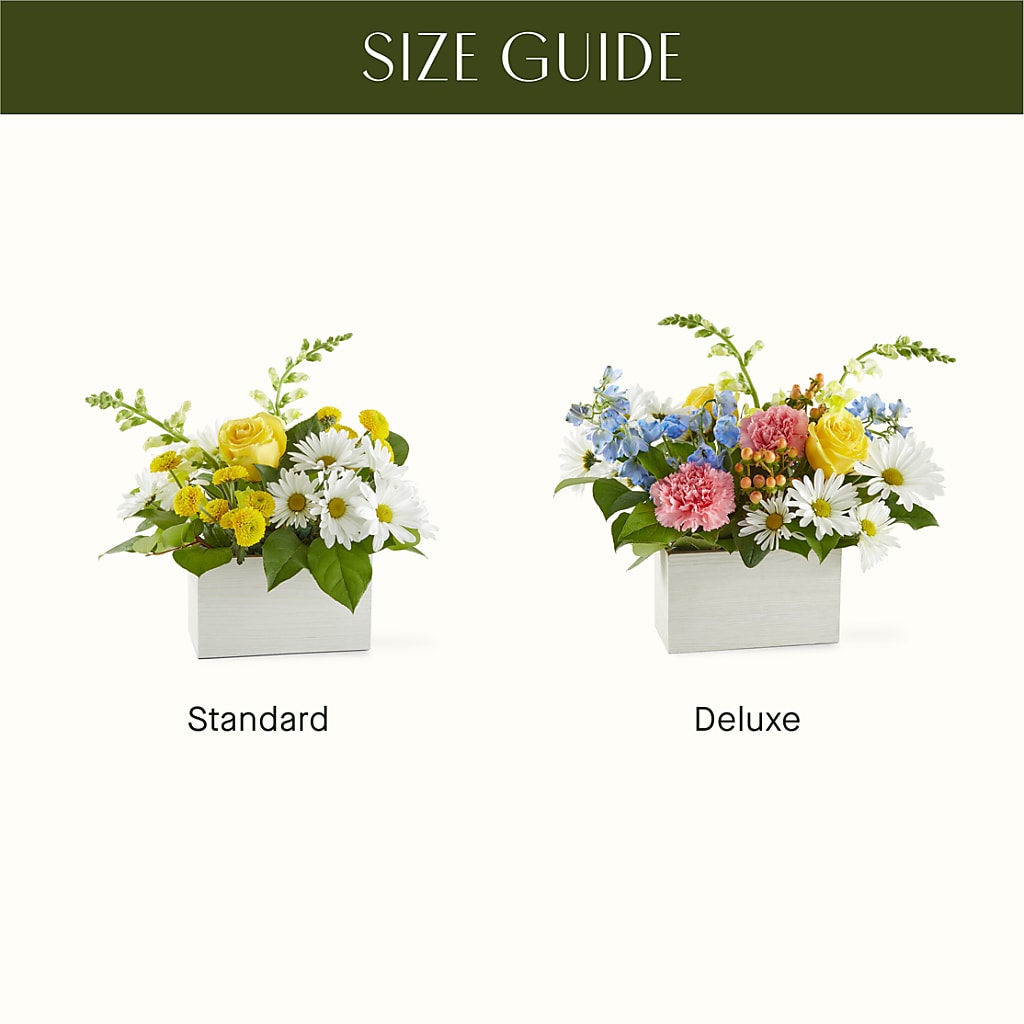 Sun Salutation Box Bouquet –  Talia Flowers, Ottawa ON