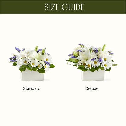 Beyond Blue Box Bouquet –  Talia Flowers, Ottawa ON
