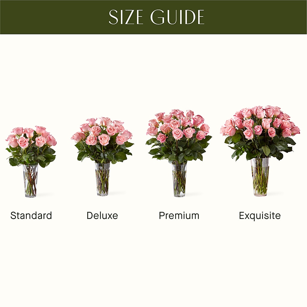 Long Stem Pink Rose Bouquet –  Talia Flowers, Ottawa ON