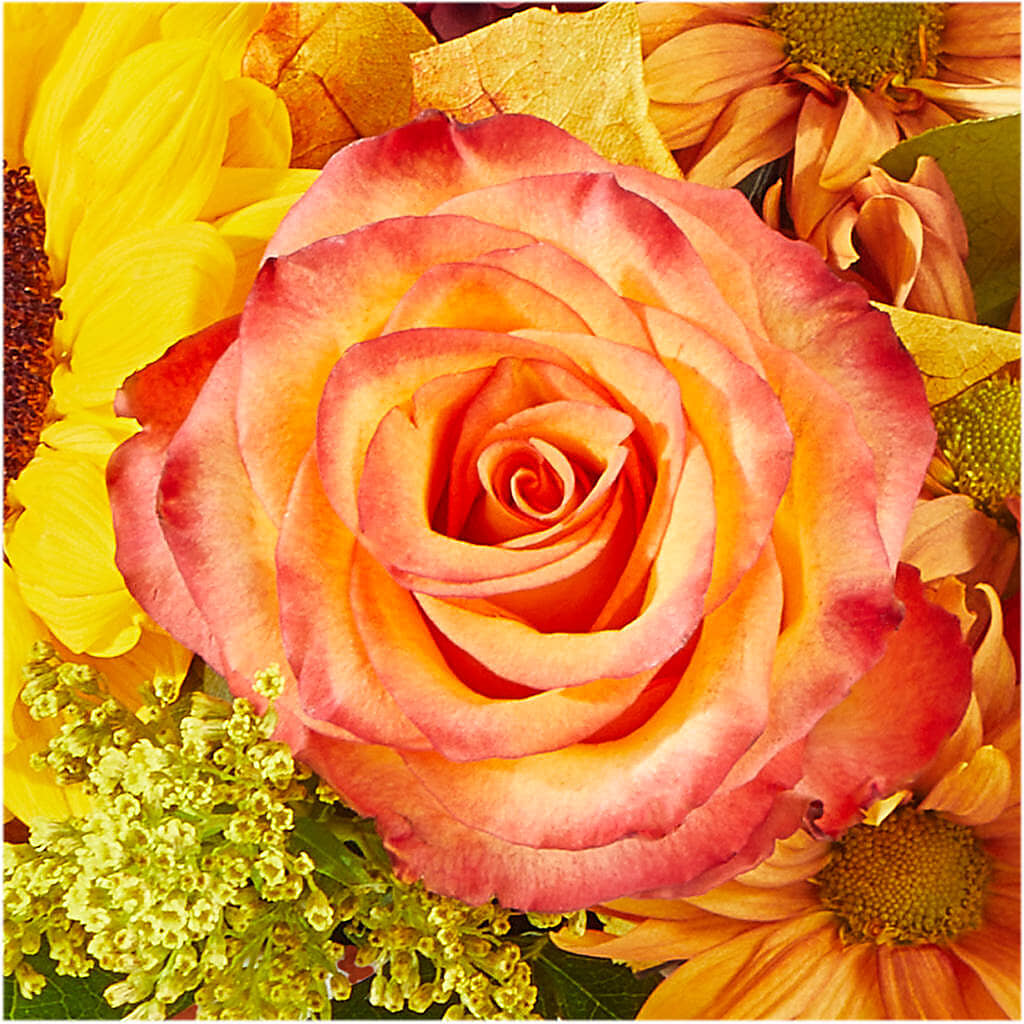 The Outdoors Bouquet –  Talia Flowers, Ottawa ON