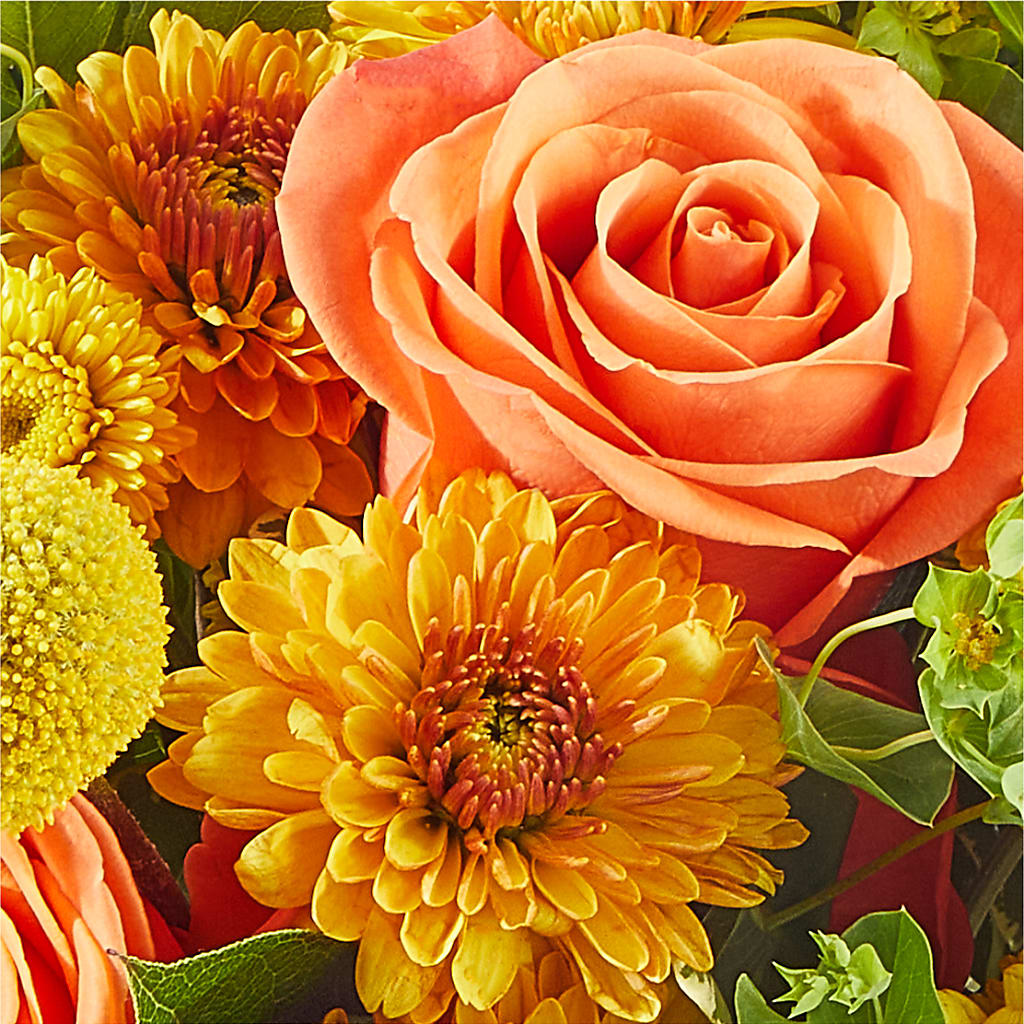Gourdgeous Pumpkin –  Talia Flowers, Ottawa ON