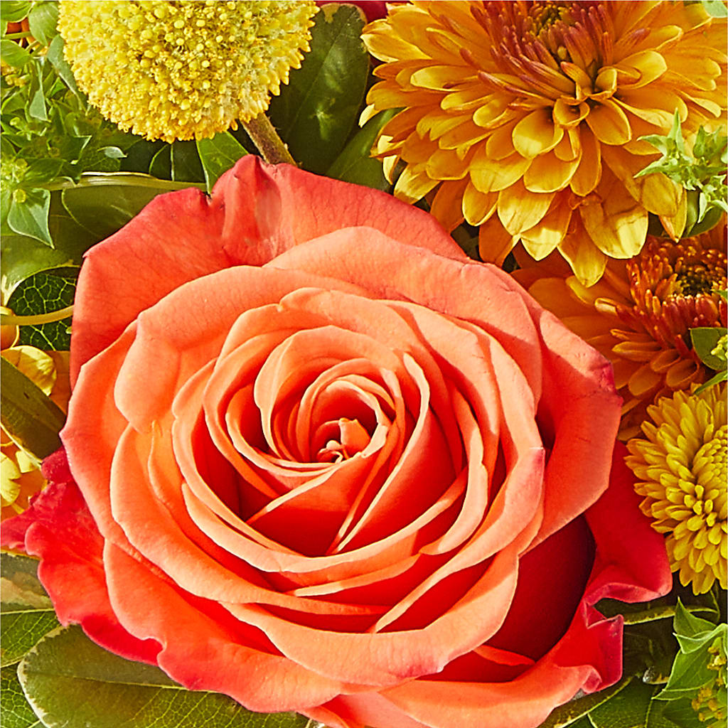 Gourdgeous Pumpkin –  Talia Flowers, Ottawa ON